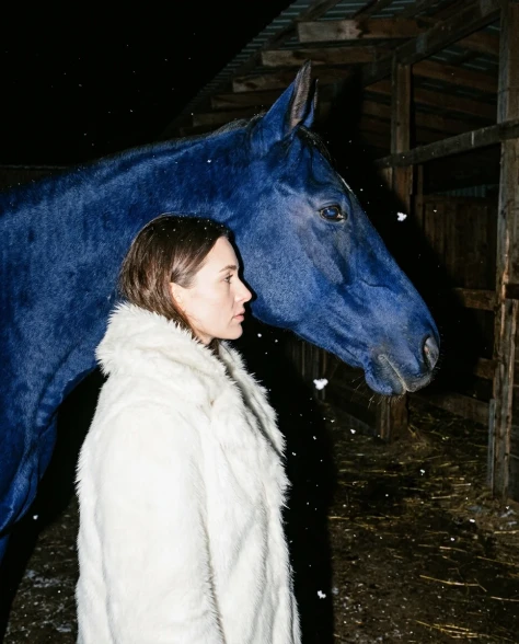 Ultra-Realistic Nighttime Flash Portrait with Horse 5